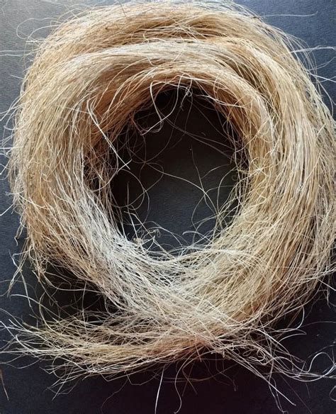  Yucca Fiber: A Sustainable Wonder for Textiles and Composites!