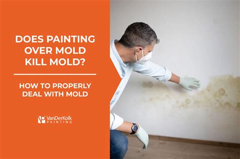 Can You Paint Over Mold: A Journey Through the Absurd and the Practical