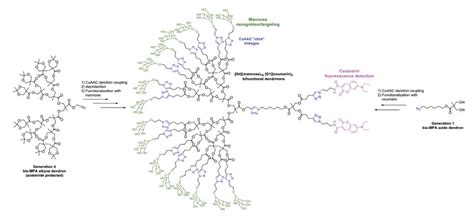 Gelatin: Unlocking the Potential for Biocompatible Scaffolds and Drug Delivery Systems!