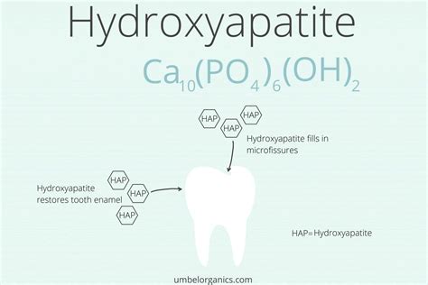  Hydroxyapatite: Biocompatible Champion for Bone Regeneration and Orthopedic Implants!