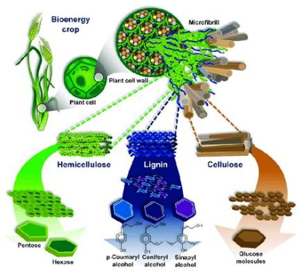  Lignin:  A Versatile Biopolymer for Sustainable Composite Manufacturing and Renewable Chemical Production?