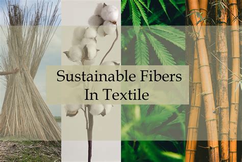  Okra Fibers - A Sustainable and Surprisingly Strong Textile Raw Material!