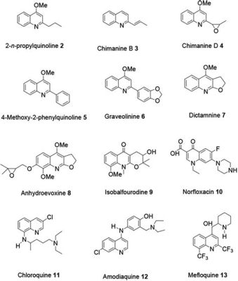  Quinoline: Unlocking Its Potential in Pharmaceuticals and Agrochemicals!