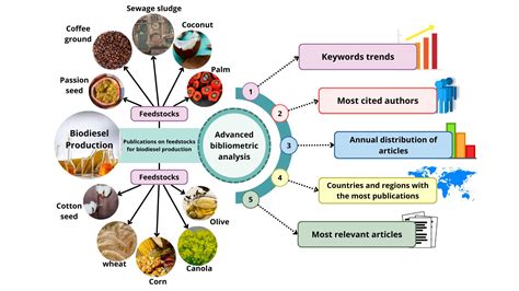 Tallow: A Versatile Bio-Based Feedstock for Sustainable Chemical and Energy Production?