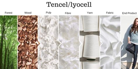  TENCEL™: Exploring a Sustainable Cellulose Fiber for Fashion and Beyond!