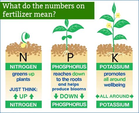  Yellow Phosphorus - A Key Component for Fertilizers and Insecticides!